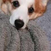 ヒメ日記 2025/10/26 02:34 投稿 川村 なほ マーベリック横浜