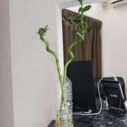 ヒメ日記 2025/10/31 14:54 投稿 川村 なほ マーベリック横浜