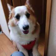 ヒメ日記 2025/11/15 14:09 投稿 川村 なほ マーベリック横浜