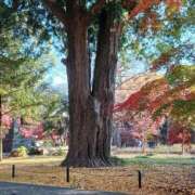 川村 なほ 💖 マーベリック横浜