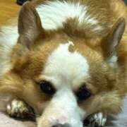 ヒメ日記 2026/01/03 01:44 投稿 川村 なほ マーベリック横浜