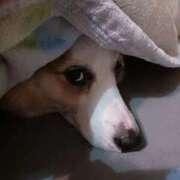 川村 なほ 💖 マーベリック横浜