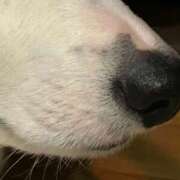 ヒメ日記 2026/02/04 01:24 投稿 川村 なほ マーベリック横浜