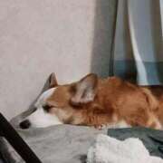 川村 なほ 💖 マーベリック横浜