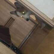 川村 なほ 💖 マーベリック横浜