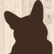 ヒメ日記 2026/03/12 00:51 投稿 川村 なほ マーベリック横浜