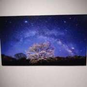 川村 なほ 💖 マーベリック横浜