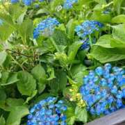 ヒメ日記 2026/06/20 15:14 投稿 川村 なほ マーベリック横浜
