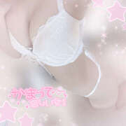 もみじ 今日もいるよ❣ イエローキャブ