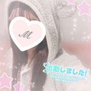 ヒメ日記 2026/02/23 12:16 投稿 もみじ イエローキャブ