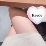 ヒメ日記 2024/12/17 08:40 投稿 双葉かえで やみつきエステ錦糸町店