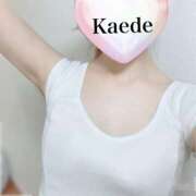 ヒメ日記 2024/12/21 13:40 投稿 双葉かえで やみつきエステ錦糸町店