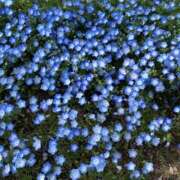 ヒメ日記 2025/05/07 21:06 投稿 双葉かえで やみつきエステ錦糸町店