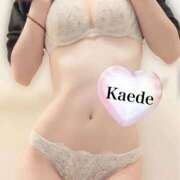 ヒメ日記 2026/01/27 19:10 投稿 双葉かえで やみつきエステ錦糸町店