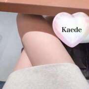 ヒメ日記 2026/02/06 12:50 投稿 双葉かえで やみつきエステ錦糸町店