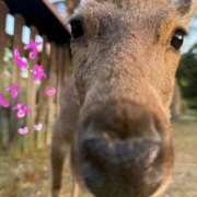 ヒメ日記 2025/05/09 15:36 投稿 三好 えみ avant-garde(アバンギャルド)