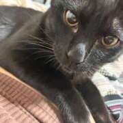 ヒメ日記 2026/02/15 15:58 投稿 サリー エレガンス(広島)