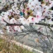 ヒメ日記 2026/04/07 12:08 投稿 サリー エレガンス(広島)