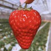 ヒメ日記 2025/03/30 19:35 投稿 あんじゅ バイオレンス