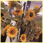 ヒメ日記 2025/09/08 11:25 投稿 あんじゅ バイオレンス