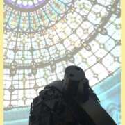 ヒメ日記 2025/11/12 21:55 投稿 あんじゅ バイオレンス