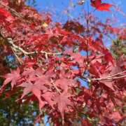 辺見(へんみ) おはようございます😊 立川熟女の秘密基地