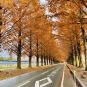 ヒメ日記 2024/12/11 09:40 投稿 辺見(へんみ) 立川熟女の秘密基地