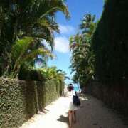 ヒメ日記 2025/08/17 09:26 投稿 辺見(へんみ) 立川熟女の秘密基地