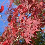 辺見(へんみ) 機能的＾＾ 立川熟女の秘密基地