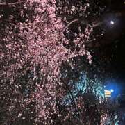 ヒメ日記 2026/03/31 19:02 投稿 辺見(へんみ) 立川熟女の秘密基地