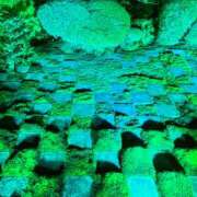 ヒメ日記 2026/07/12 10:30 投稿 辺見(へんみ) 立川熟女の秘密基地