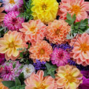 りこ 癒やし One More 奥様　松戸店