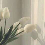 ヒメ日記 2025/03/07 19:22 投稿 るい 鶯谷おかあさん