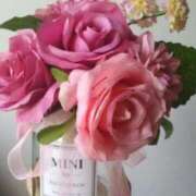 ヒメ日記 2025/04/11 17:24 投稿 るい 鶯谷おかあさん