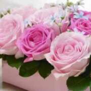 ヒメ日記 2025/04/28 18:03 投稿 るい 鶯谷おかあさん