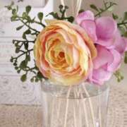 ヒメ日記 2025/05/19 15:08 投稿 るい 鶯谷おかあさん