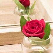 ヒメ日記 2025/05/22 15:47 投稿 るい 鶯谷おかあさん