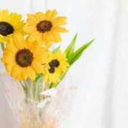 ヒメ日記 2025/06/24 15:55 投稿 るい 鶯谷おかあさん