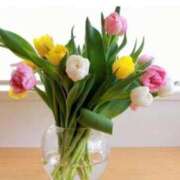 ヒメ日記 2025/07/02 14:32 投稿 るい 鶯谷おかあさん