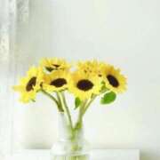 ヒメ日記 2025/07/28 15:04 投稿 るい 鶯谷おかあさん