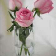 ヒメ日記 2025/09/03 15:41 投稿 るい 鶯谷おかあさん