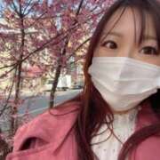 ヒメ日記 2025/04/20 13:57 投稿 まゆ カワサキ EROTIC