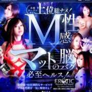 ヒメ日記 2025/06/11 23:06 投稿 まゆ カワサキ EROTIC