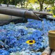 ヒメ日記 2025/06/18 15:30 投稿 まゆ カワサキ EROTIC