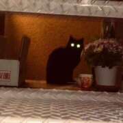 ヒメ日記 2025/07/20 21:13 投稿 まゆ カワサキ EROTIC