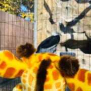 ヒメ日記 2025/07/21 23:30 投稿 まゆ カワサキ EROTIC