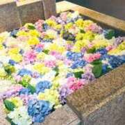 ヒメ日記 2025/08/04 20:38 投稿 まゆ カワサキ EROTIC