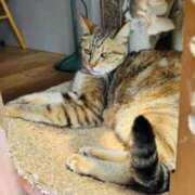 ヒメ日記 2025/08/23 11:42 投稿 まゆ カワサキ EROTIC