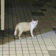 ヒメ日記 2025/09/03 15:06 投稿 まゆ カワサキ EROTIC