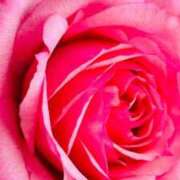 ヒメ日記 2025/09/09 01:15 投稿 まゆ カワサキ EROTIC